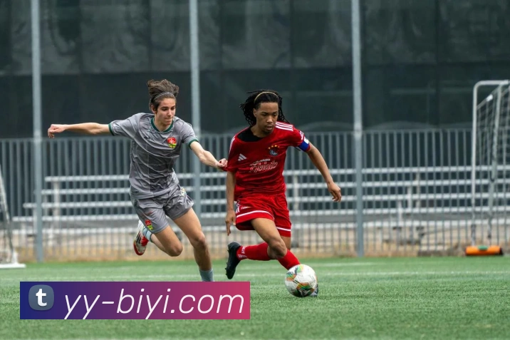 App Interface Preview